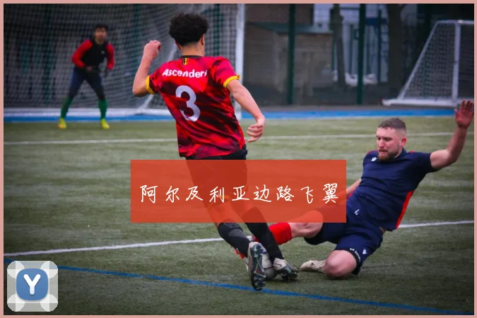 阿尔及利亚边路飞翼
