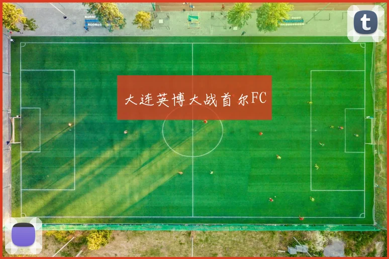 大连英博大战首尔FC