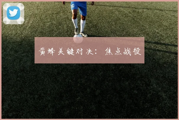 黄蜂关键对决：焦点战役