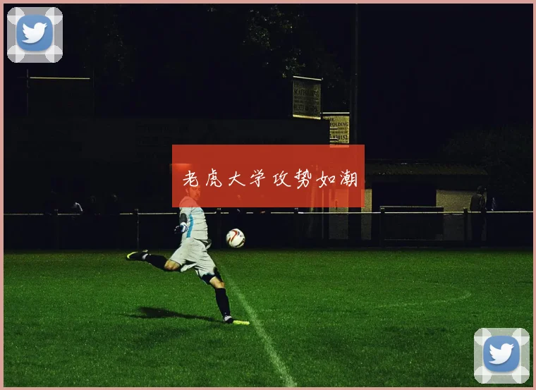 老虎大学攻势如潮