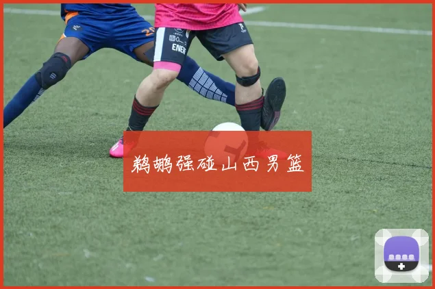 鹈鹕强碰山西男篮