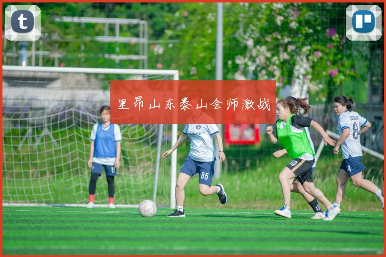 里昂山东泰山会师激战