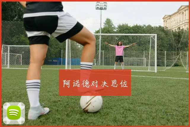 阿诺德对决恩佐