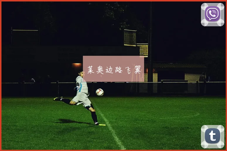 莱奥边路飞翼
