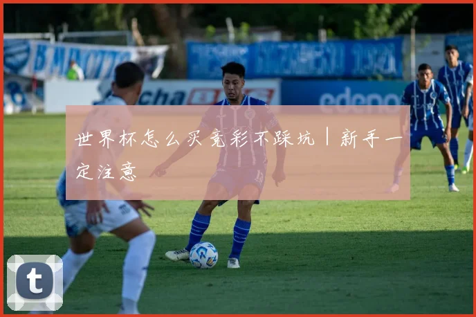 世界杯怎么买竞彩不踩坑｜新手一定注意