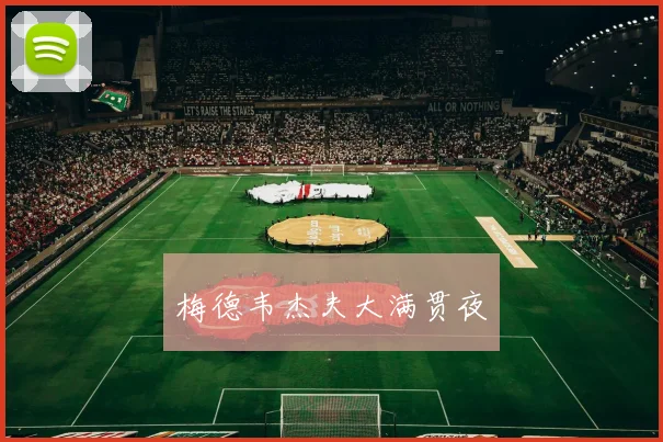 梅德韦杰夫大满贯夜