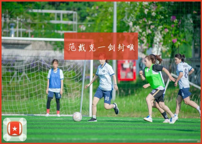 范戴克一剑封喉