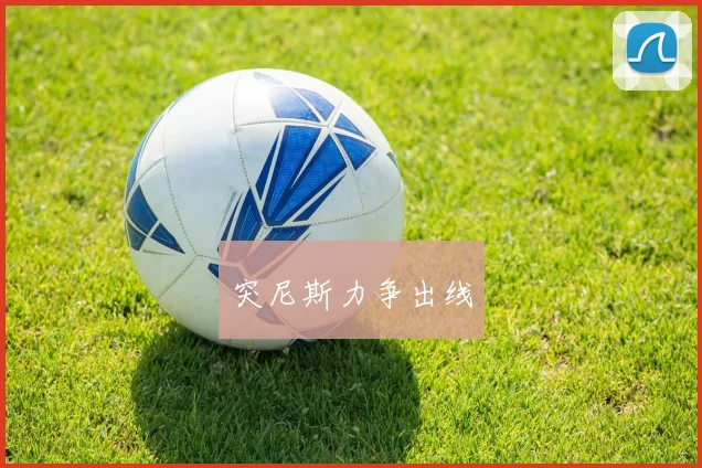 突尼斯力争出线