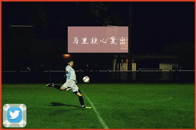 马里核心复出