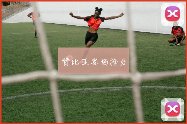 赞比亚客场抢分