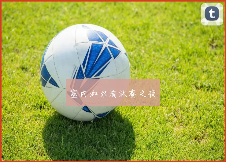 塞内加尔淘汰赛之夜