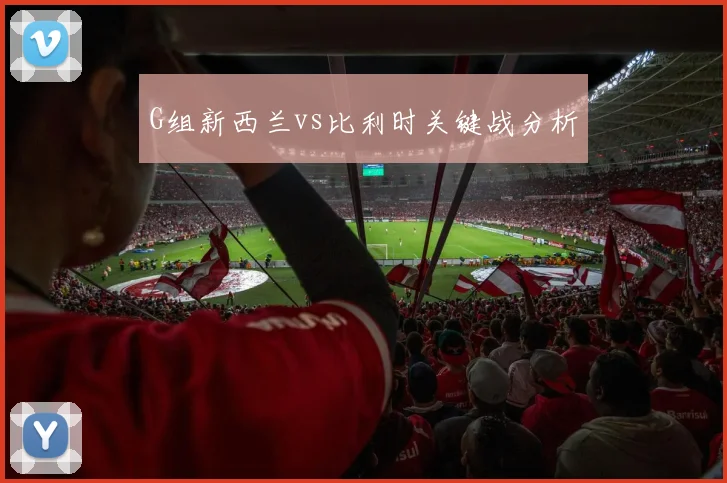 G组新西兰vs比利时关键战分析