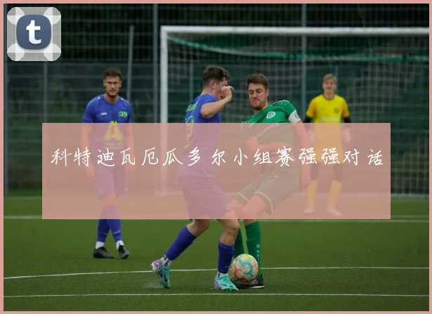 科特迪瓦厄瓜多尔小组赛强强对话